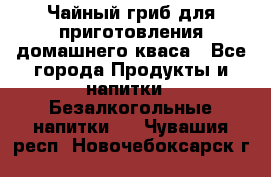 Чайный гриб для приготовления домашнего кваса - Все города Продукты и напитки » Безалкогольные напитки   . Чувашия респ.,Новочебоксарск г.